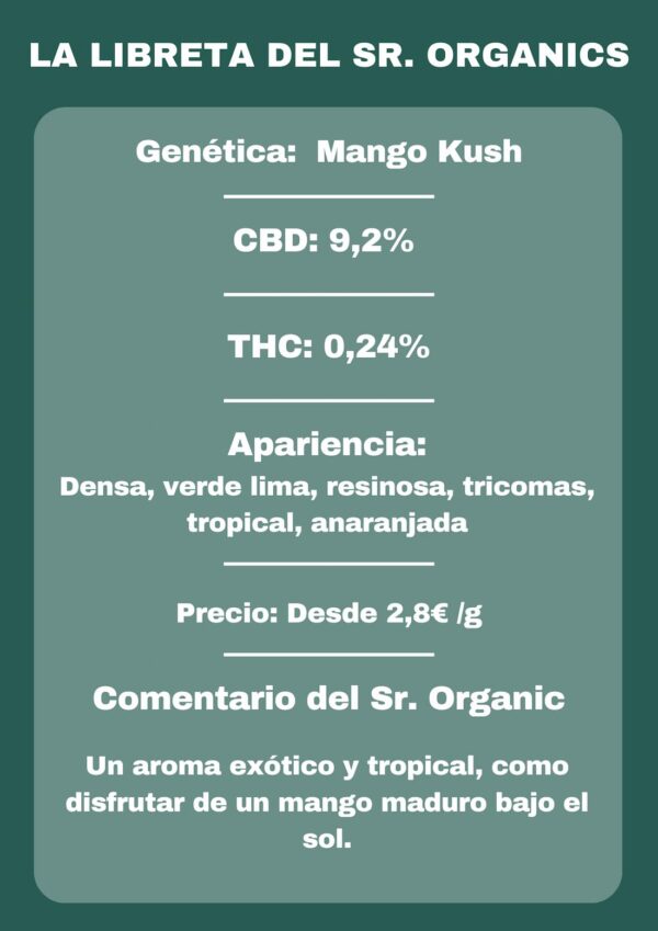 Flores Mango Kush Galicia